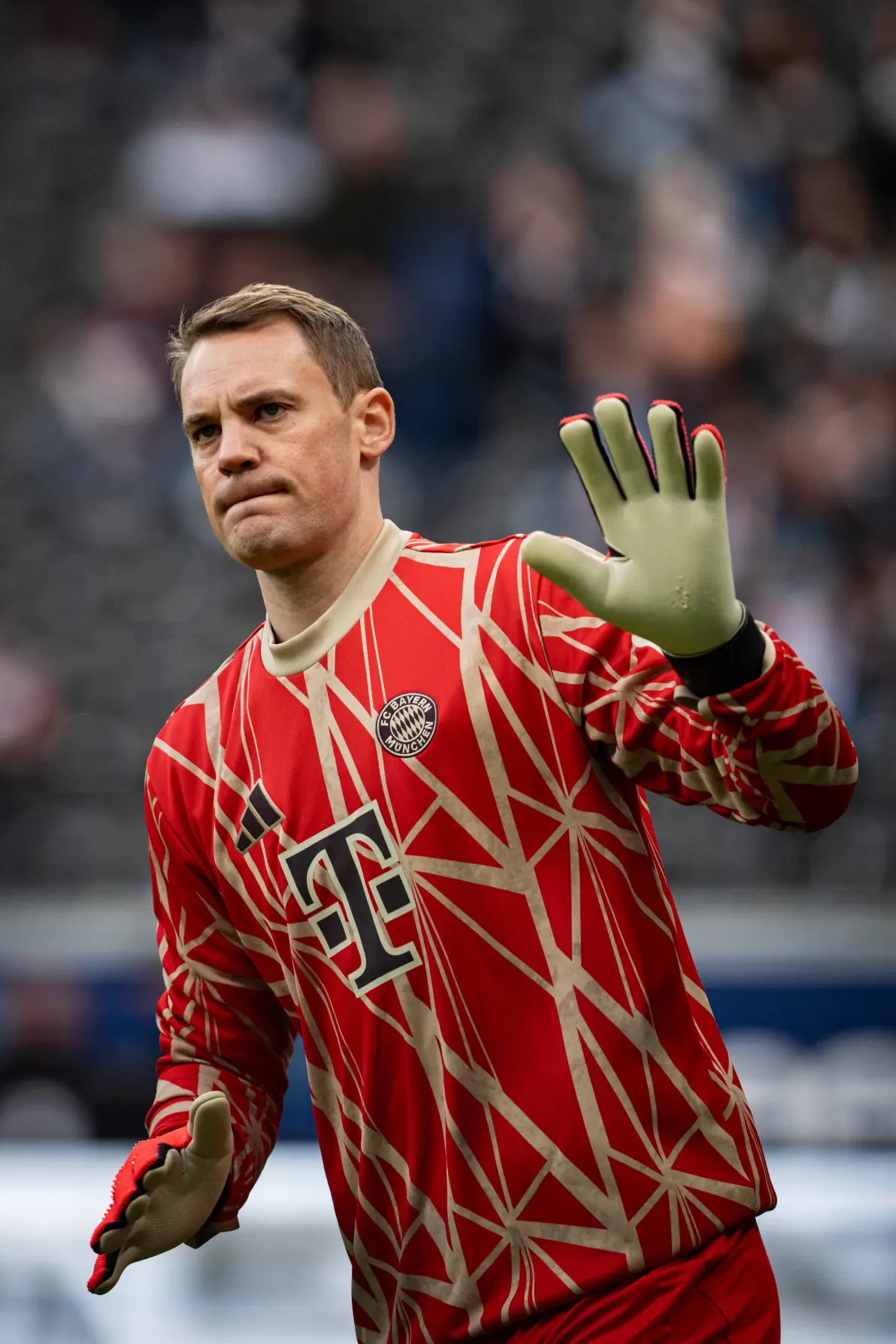 法兰克福训练开放日，转会期临场应变引欢呼，德甲在即，团队化学反应显著的简单介绍